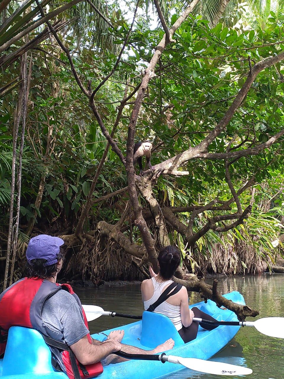 aventura - Mangrove tour Manuel Antonio Puntarenas - Tour en Costa Rica