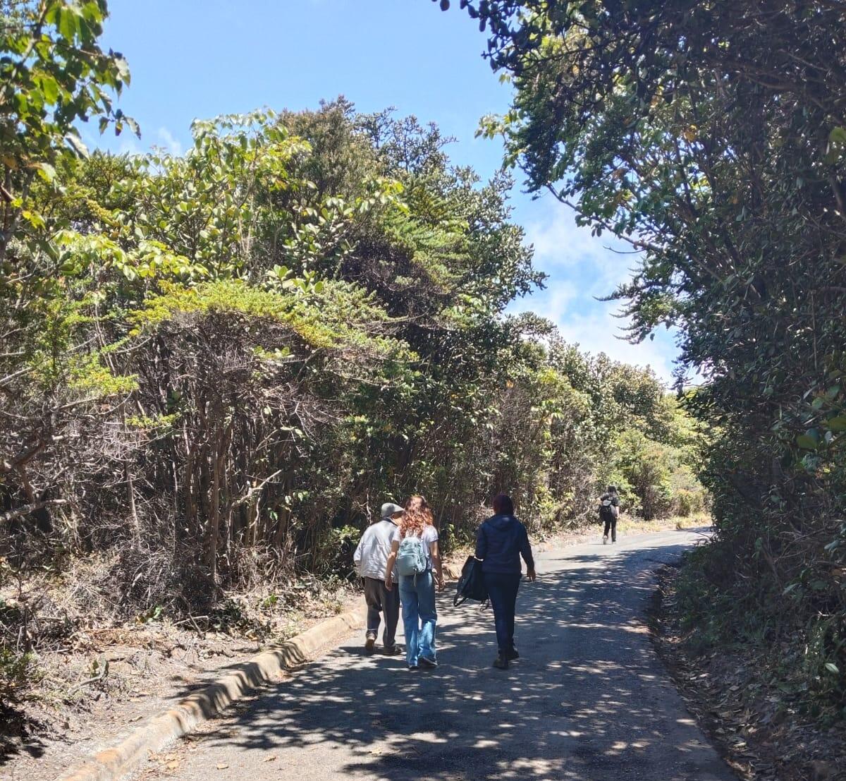 experiencia - Poás Volcano Tour 🌋 | Private Experience from San José + Breakfast & Strawberries Valle Central San José - Tour en Costa Rica